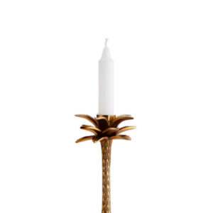 Küünlajalg palm